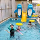 더채움키즈풀빌라 이미지