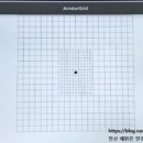 웨이브안경 이미지