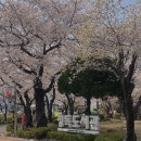 (주)코리아세븐 연남숲길점 | @hhyedoll 일기 - 정독도서관 벚꽃, 미즈노 LG 60S 2K Brown, 시흥 ABC행복 학습타운, LG Twins 야구...