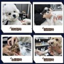 바우라움수원캠퍼스