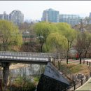 석촌호수로 이미지