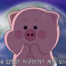함덕 위드 자쿠지 이미지