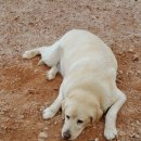 물소리길가 이미지