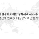 주식회사 디오슨