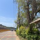 휴먼발리펜션 | 태안 바다 앞 바베큐 숙소 '휴먼발리펜션' 솔직 후기 (급하게 예약하실 때 좋아요♡) - 내돈내산