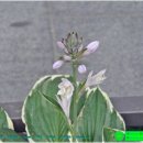 퇴계로2 이미지