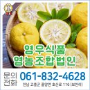 영우식품 영농조합법인 | [고흥 유자] 전남 고흥의 청정 자연을 가득 담은 '영우식품영농조합법인'의 명품 유자차