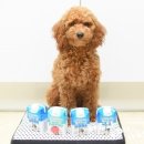 견생묭실 이미지