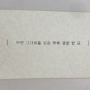 대양당