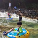 GS25 울산작천정점 | [부산근교계곡] 작천정계곡, 작천정 별빛야영장 피크닉장 이용