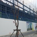 에스빌딩앞 이미지