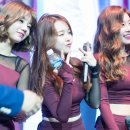 미스터비어 이미지