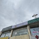 사계절, 멍 | [의정부 민락동 애견미용샵] 사계절멍 내돈내산 후기