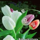 토요일 이미지