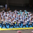 신중태권도 이미지