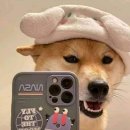 학동축산 이미지