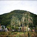 삼계천 이미지