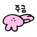 클라임바운스 이미지