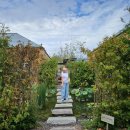 피자파는집 경산하양점 | [경산 하양 카페 추천] 스페이스임원 브런치 솔직후기｜통창뷰·조용한 분위기·시그니처 메뉴 총정리