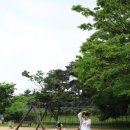 서호공원 이미지