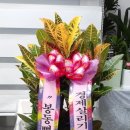 봉동뼈다귀 이미지