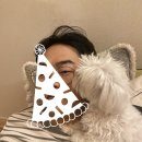 캣독카페 이미지