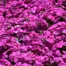 그린좋은주유소 이미지