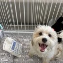 바로슬동물병원 이미지