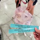 [공지] 2026 메가주 일단 킨텍스 주차 팁! T4 임시주차장 후기, 금요일 혼잡도와 준비물 정리!!