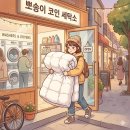 코인세탁소 이제 안 가요! 장마철 집에서도 킹사이즈 이불 빨래 '바싹' 말리는 법