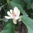 하남산단6번로 이미지