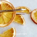 바크데이 이미지