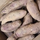 해남상회 이미지