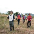 일과1교차로 1 이미지