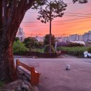 신월마을 이미지