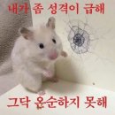 씨유 신천상공회의소점 | [10월 일상] 10월 갔다했다 11월 부른다 진짜로