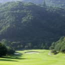 블루버드 이미지