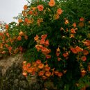 [2025. 7. 6. 일. 해.]-[유산소-휴식, 적산-0km, 26~32℃, 05:15~19:41] 이미지