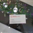 퍼피하우스 인천송도점 이미지