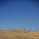 오크랜드 이미지