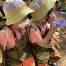 소새울어린이집 이미지