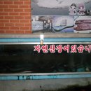 영산강장어 이미지