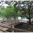 구터미널 쉼터 | (공주)계룡산 산행[13.10월/2차]갑사,연천봉,관음봉,삼불봉,동학사