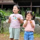 용천골 | 2022.06. 안면도 - 대성식관, 파인웰스 펜션, 안면해수욕장, 서산 용천골가든, 다솔카페