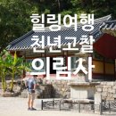 창원 의림사 삼층석탑 | 추석 연휴 경남 창원 근교 휴식 나들이 추천 천년고찰 의림사