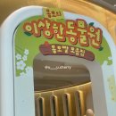 대구 더현대 팝업스토어, 몽모의 이상한 동물원 다녀온 후기