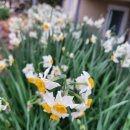 수산자동차공업사 이미지