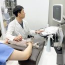 강아지와고양이나라 동물병원 | 부산진구동물병원 강아지 산책 거부 관절이 보내는 '비명'일 수 있습니다.