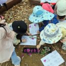 산림놀이 화장실 이미지