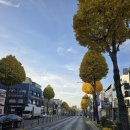 독순로11길 | 제천 일주일 살며 산책하기. 제천 중앙공원, 제천시내 산책하며 바라본 것들